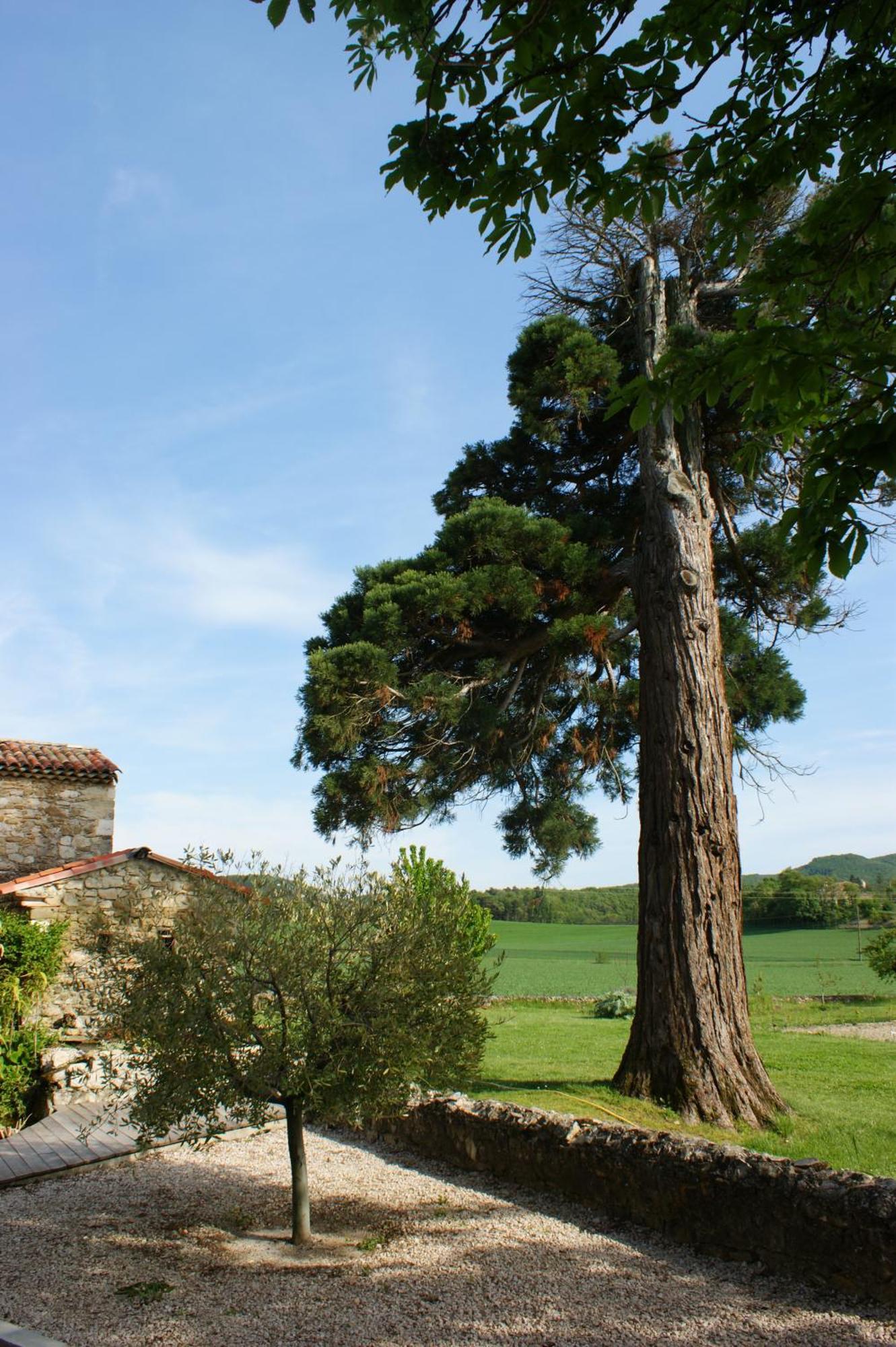 Hotel Le Prieuré des Sources La Répara Exterior foto